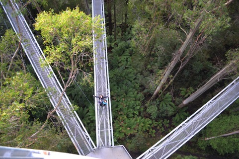 Otway Fly